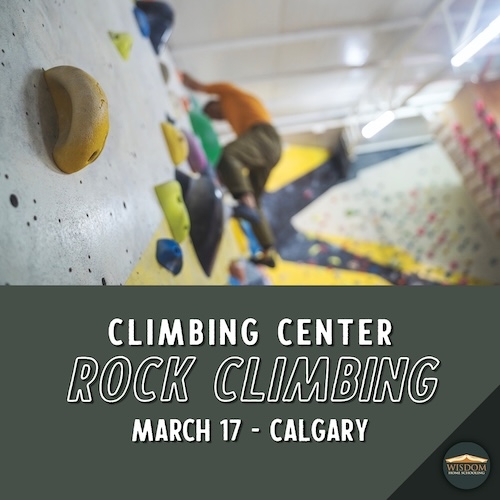 Indoor Rock Wall Climbing - Calgary M